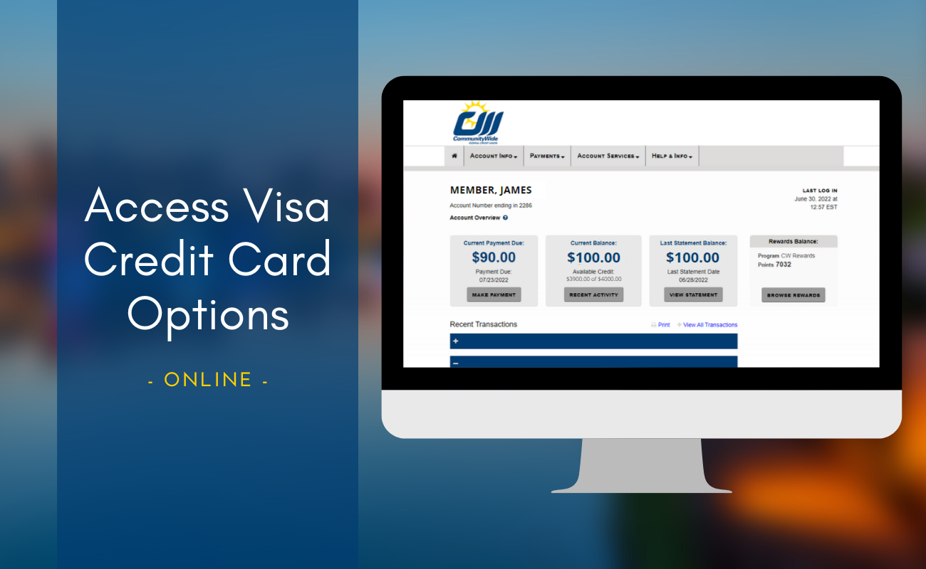 How to Access Visa Credit Card Options demo button